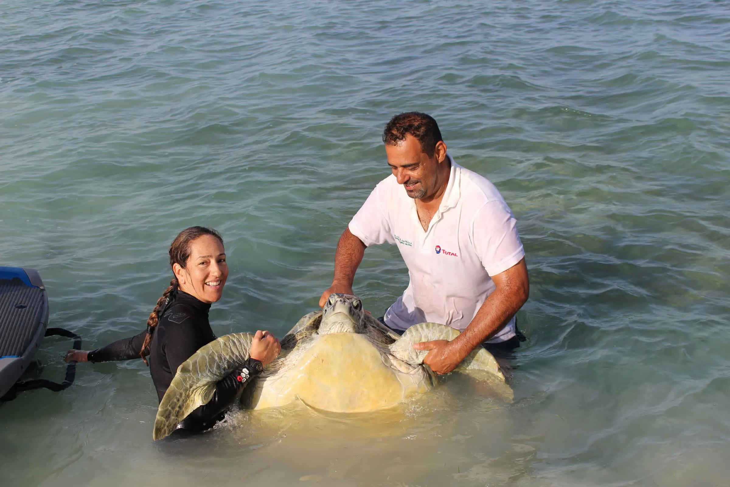 Conserving-Marine-Turtle