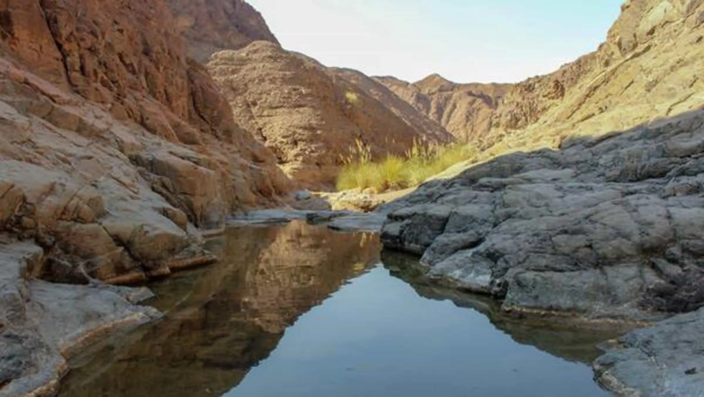 Helping-establish-the-Wadi-Wurayah-National-Park