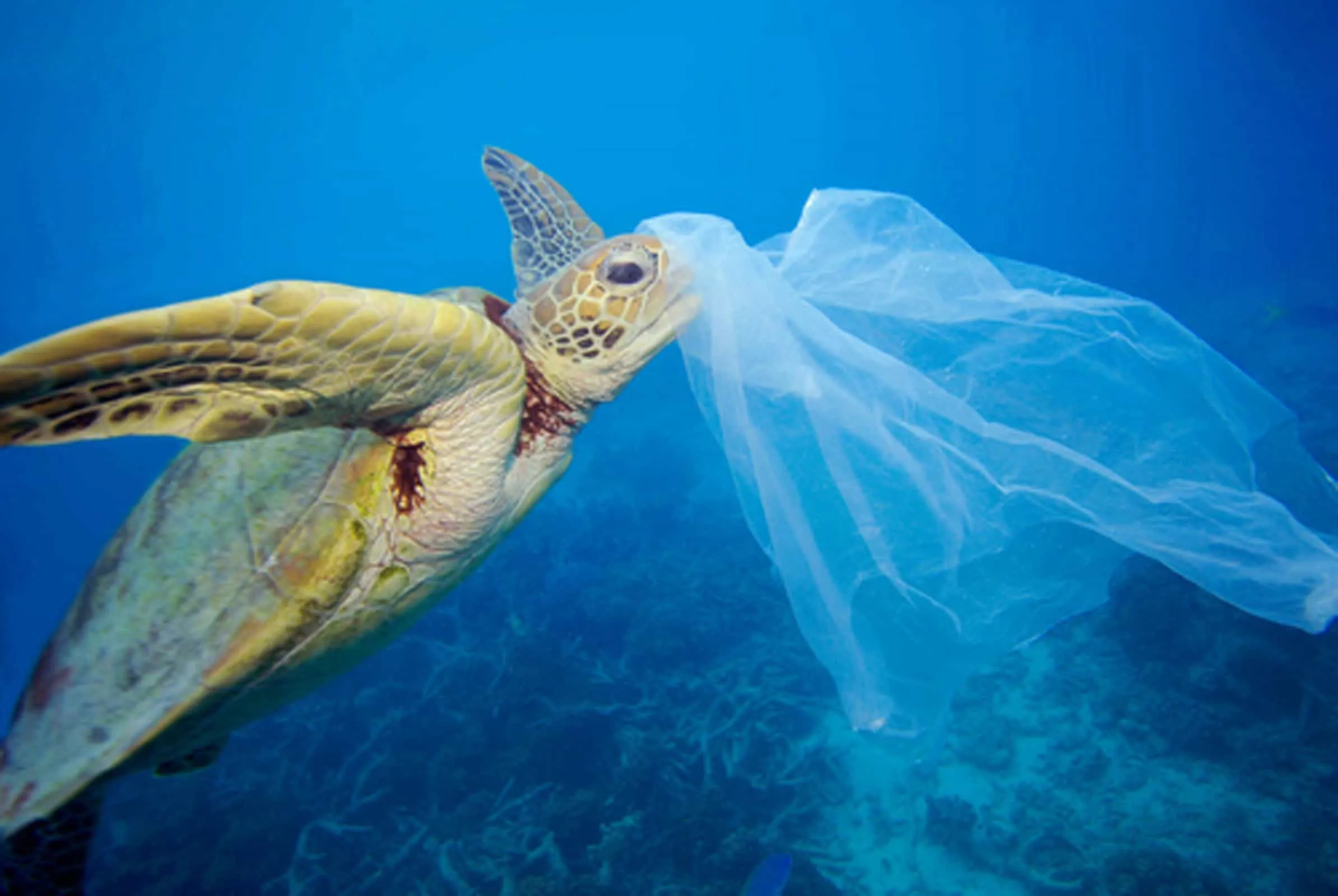 Laying the foundation for a Circular Economy