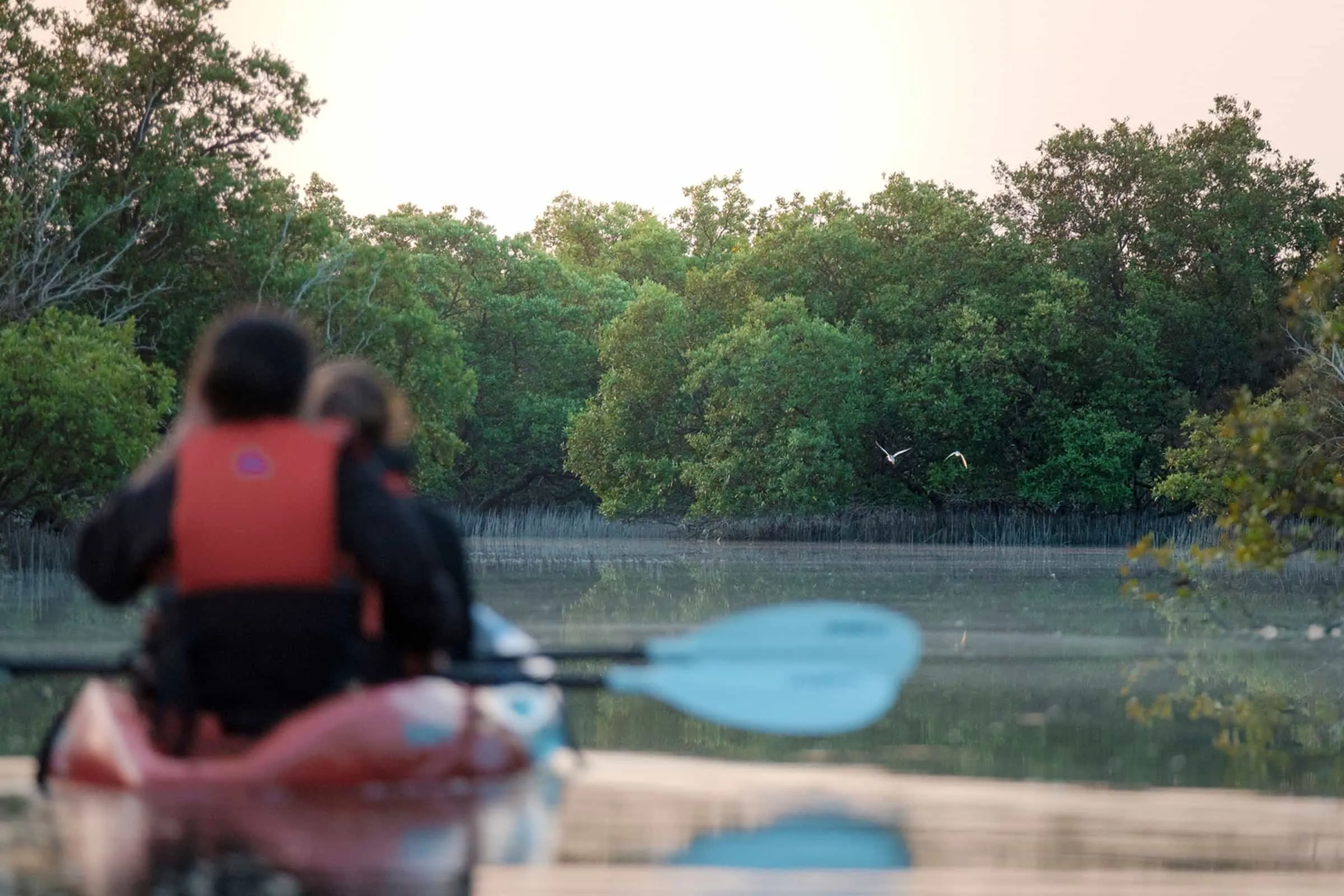 Protecting-coastal-and-marine-habitats