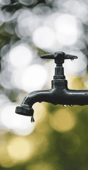 Water & Food Security