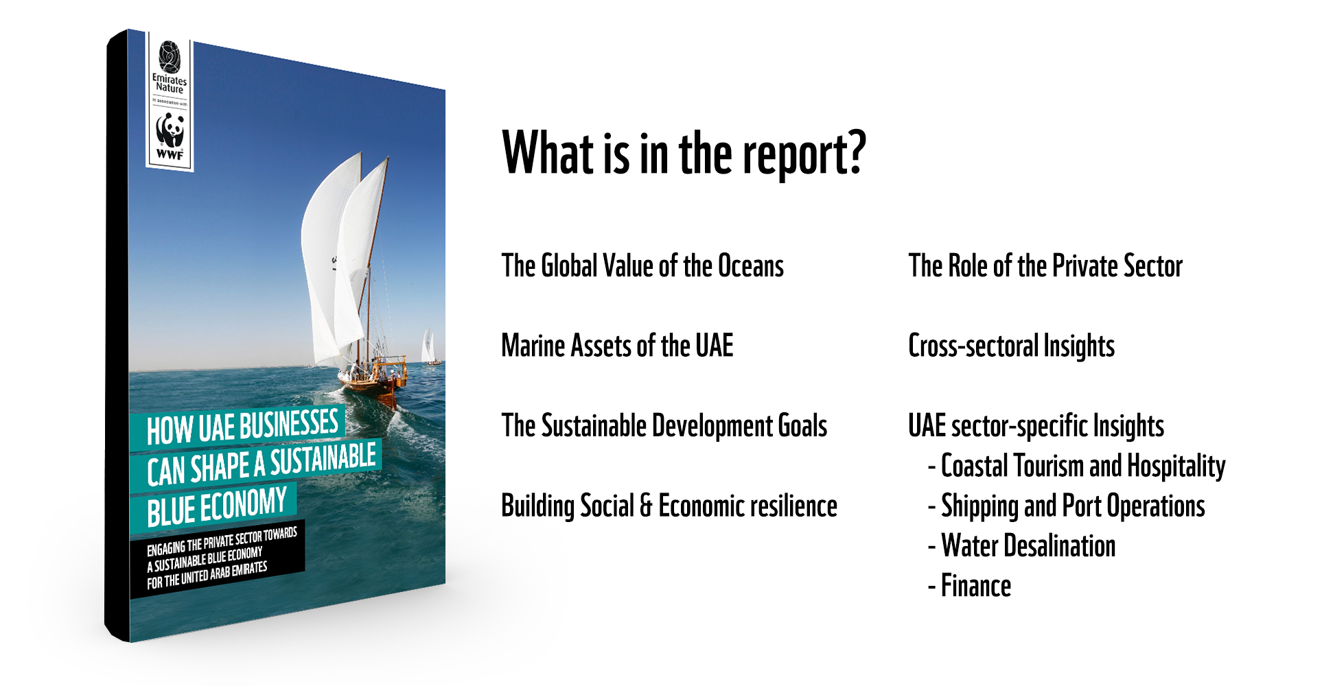 UAE's Sustainable Blue Economy Report - What is inside?