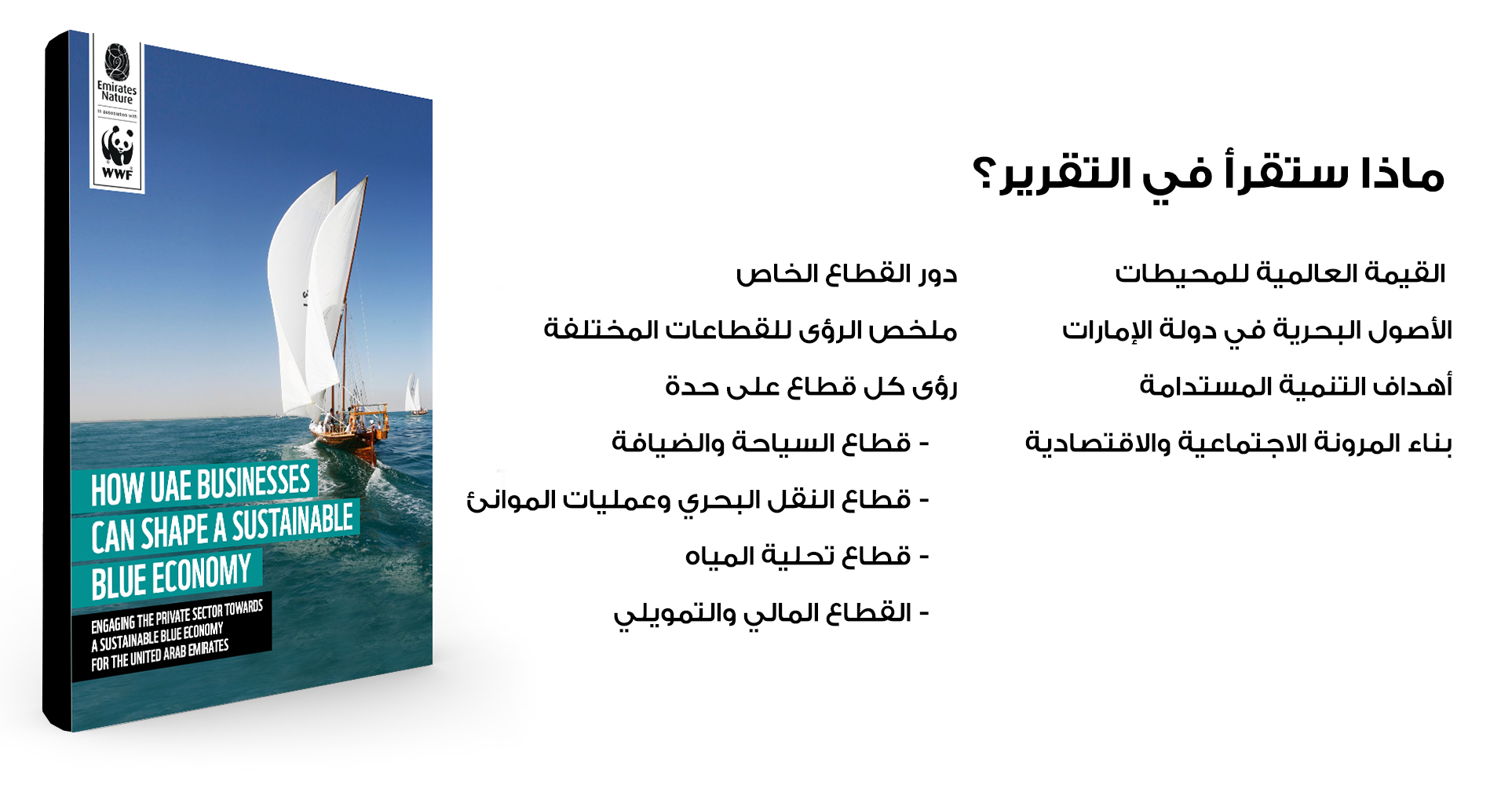 UAE's Sustainable Blue Economy Report - What is inside?