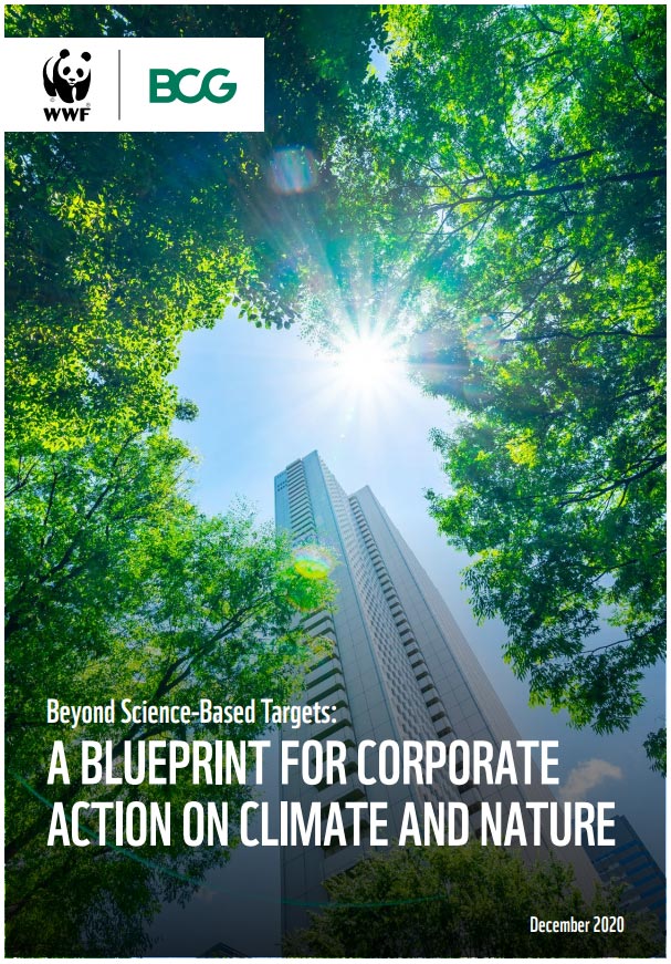 Beyond Science-Based Targets: A Blueprint For Corporate Action