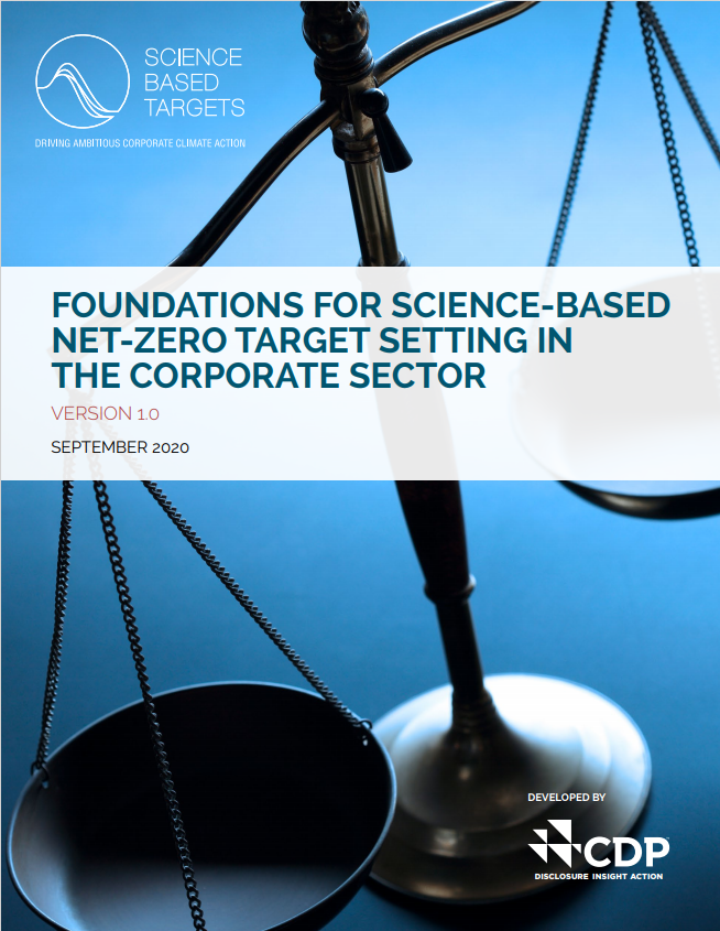 Foundations For Science-Based Net-Zero Target Setting
