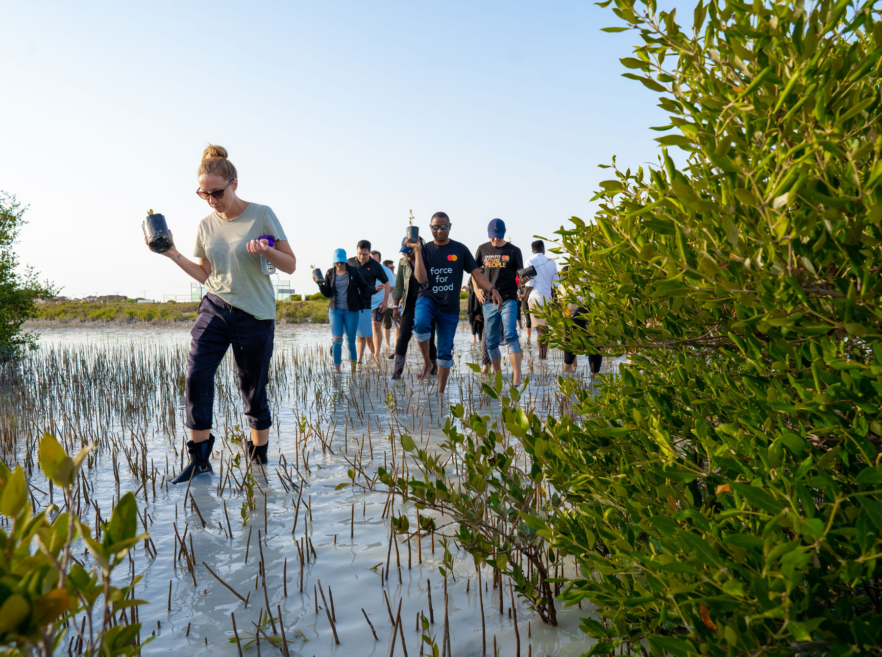 MC Mangrove planting Khor AL Beidah