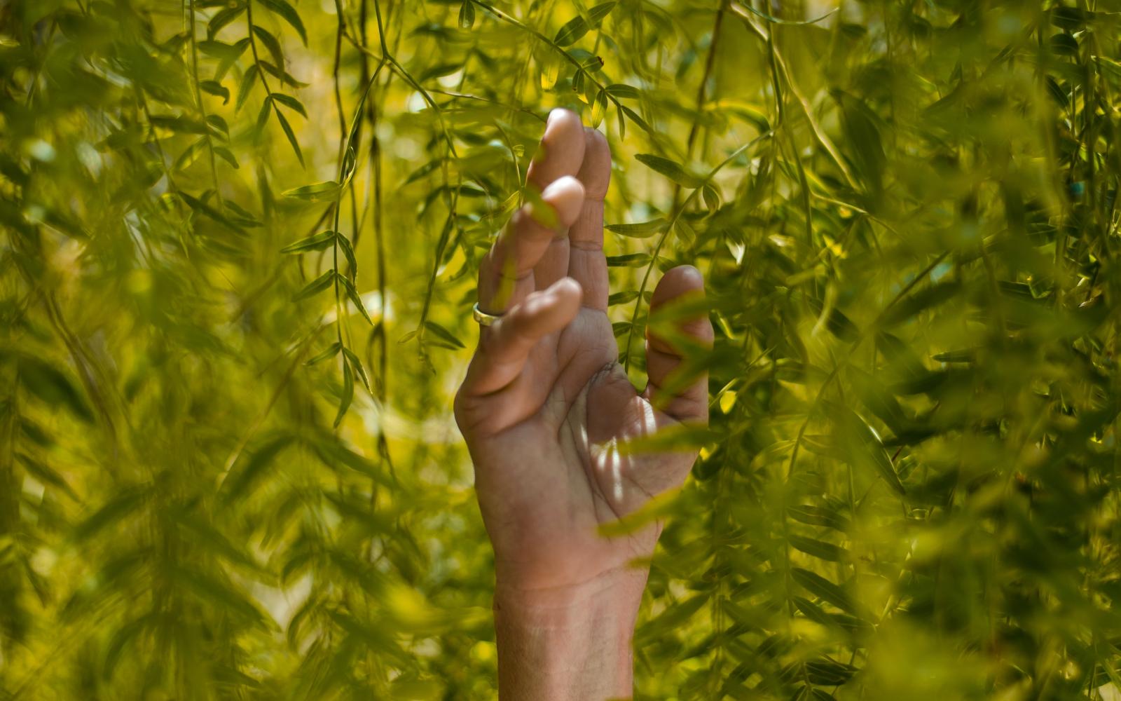 People hand nature