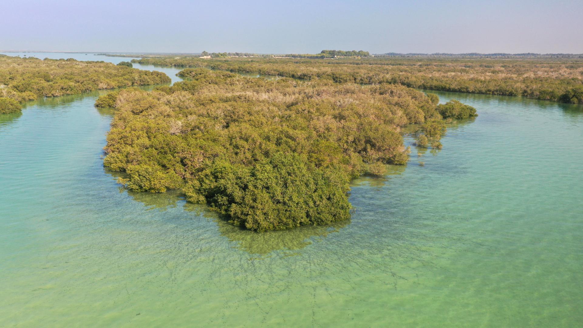 Nature-based solutions are 