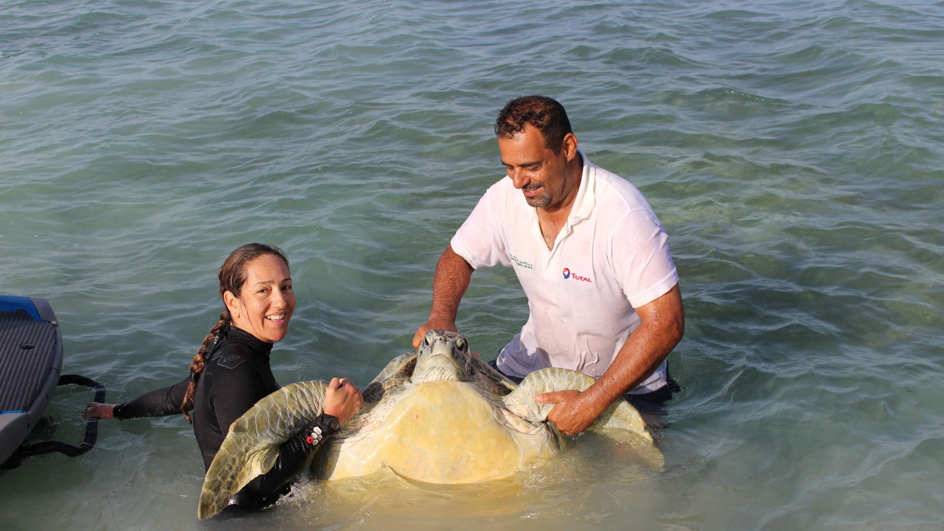 conserving-marine-turtles-in-the-gulf