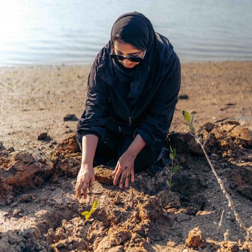 Emirati Planting